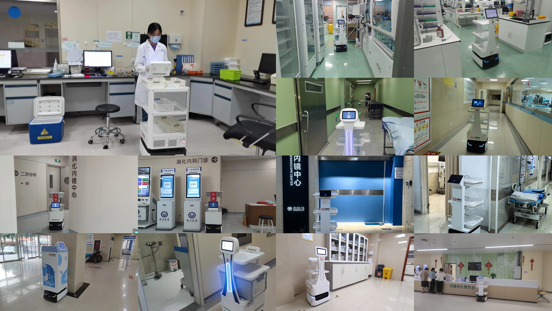 VID_20240430_164856_Moment - 副本.jpg